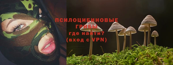 дурь Абдулино