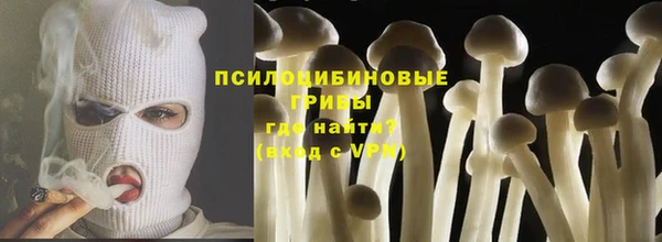 2c-b Алзамай