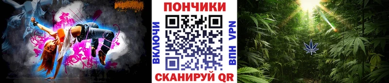 где найти   Игарка  Конопля VHQ 